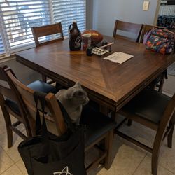 Anayas EcoNeat - Cat approve clean table.