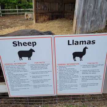 Flamig Farm - Farms Near Me - West Simsbury, Connecticut Flamig Farm - Farms Near Me - West Simsbury, Connecticut