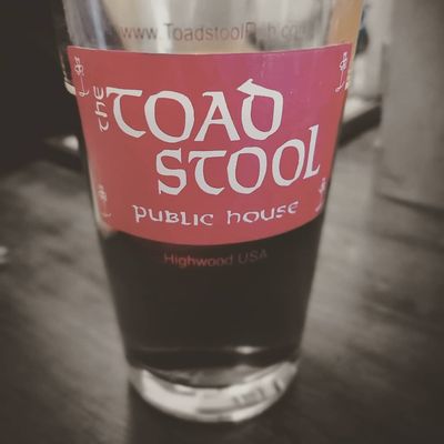 The Toadstool Pub by null