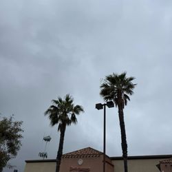 Albertsons