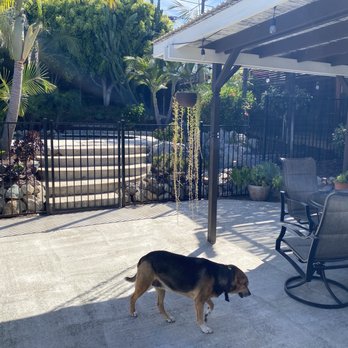 Bear Fence - Fences & Gates Near Me - San Diego, California Bear Fence - Fences & Gates Near Me - San Diego, California