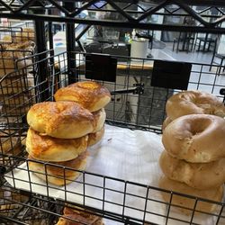 Brooklyn Bridge Bagel Works - Brooklyn Bagels actively has a cockroach infestation. Here you can see a roach on the bagel rack in which management still chose to serve.