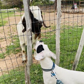DA Ranch - Wineries Near Me - Cornville, Arizona