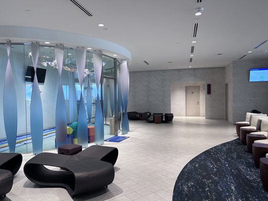 ANA suite lounge by null