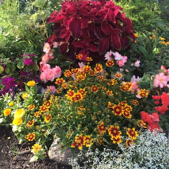In Full Bloom Container Gardens - Gardeners Near Me - Portland, Maine