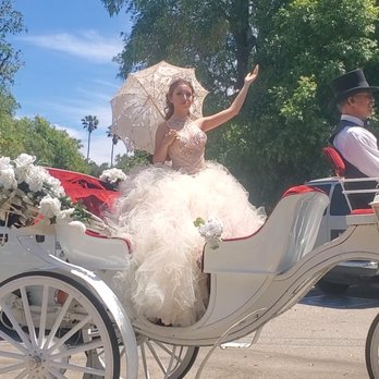 Savannah Rose Carriages - Party & Event Planning Near Me