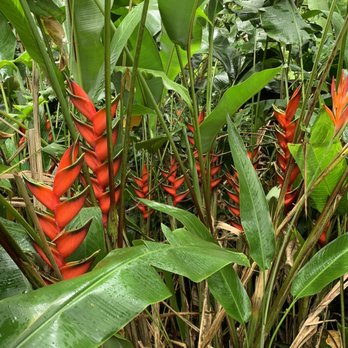 Hike Maui - Tours Near Me - Kahului, Hawaii Hike Maui - Tours Near Me - Kahului, Hawaii