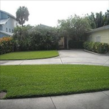 Hubbard's Landscaping - a driveway in front of a house - Landscaping Near Me - Palm Harbor, Florida