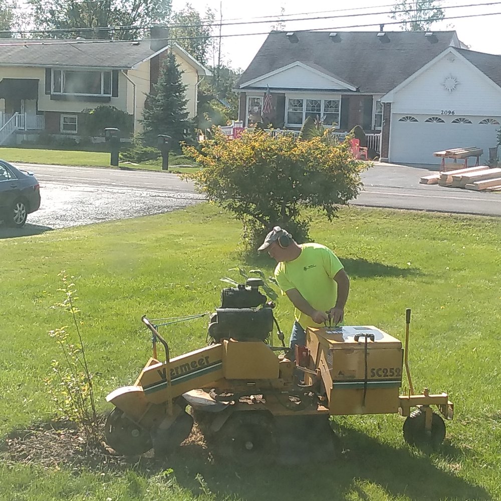 Huck's Stump Grinding - Super professional! Machine is just the right size to handle job without ruining lawn! - Tree Services Near Me - Buffalo, New York Huck's Stump Grinding - Super professional! Machine is just the right size to handle job without ruining lawn! - Tree Services Near Me - Buffalo, New York