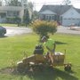 Photo of Huck's Stump Grinding