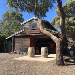 Curlewis Winery - Tasting room.