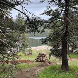 Lake Alpine - Wooded trails