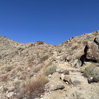 Fortynine Palms Oasis - Hiking Near Me - Twentynine Palms, California
