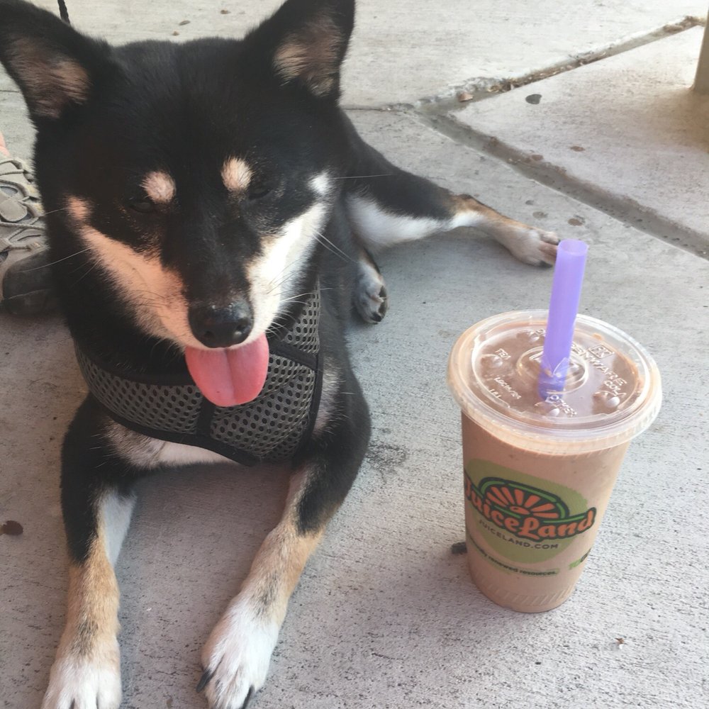 Juiceland - Juice Bars & Smoothies Near Me - Austin, Texas Juiceland - Juice Bars & Smoothies Near Me - Austin, Texas