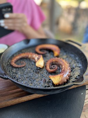 Monte Xanic Bodega Vinícola by null