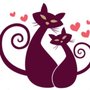 Fabulous Feline Grooming