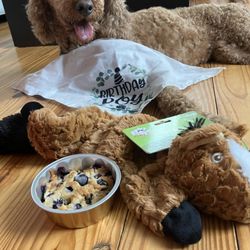 Jessie’s Bites - Ozzie celebrated his birthday at Jessie's Bites. He got to sample treats and food, and he came away with a free bday blueberry muffin!