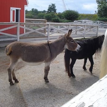 Lambs Farm - Amusement Parks Near Me - Libertyville, Illinois Lambs Farm - Amusement Parks Near Me - Libertyville, Illinois