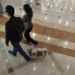 Belle Épine - They let poopy puppies into the mall.