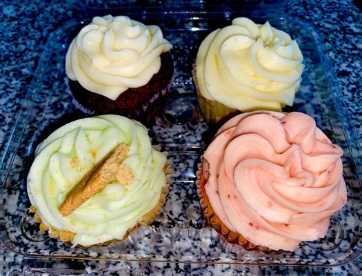 The Cupcake Collection by null