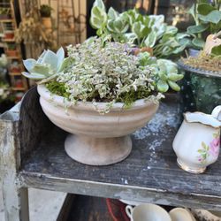 The Flower Stand