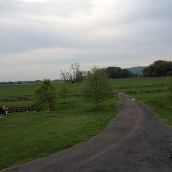 Doukenie Winery - View from the deck upstairs. - Wineries Near Me - Purcellville, Virginia Doukenie Winery - View from the deck upstairs. - Wineries Near Me - Purcellville, Virginia