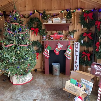 Bodine's Tree Farm - Lovely decor - Christmas Trees Near Me - Canandaigua, New York