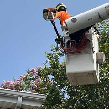 Redeemed Tree Service - Tree Services Near Me Redeemed Tree Service - Tree Services Near Me