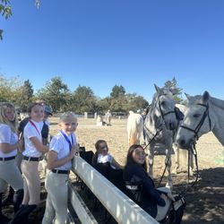 STRIDES Riding Academy
