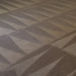 J & L General Cleaning Services - Carpet steam/Shampoo!