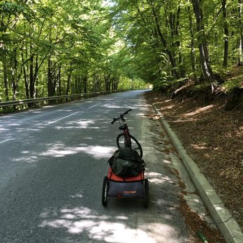 Treetop journeys - Travel Services Near Me