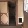 Photo of Alex's Doggy Daycare Suites