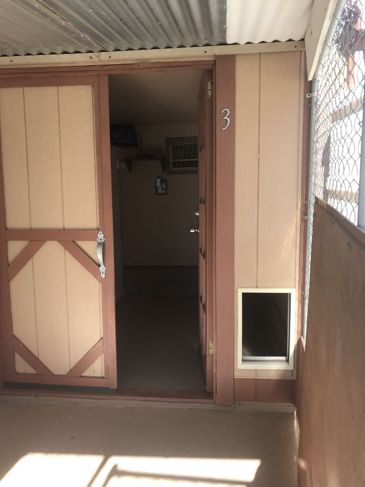 ALEX’S DOGGY DAYCARE SUITES Updated September 2024 14 Reviews