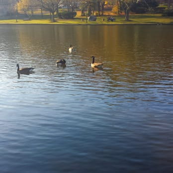 Duck Pond - Geese - Parks Near Me - Secaucus, New Jersey Duck Pond - Geese - Parks Near Me - Secaucus, New Jersey