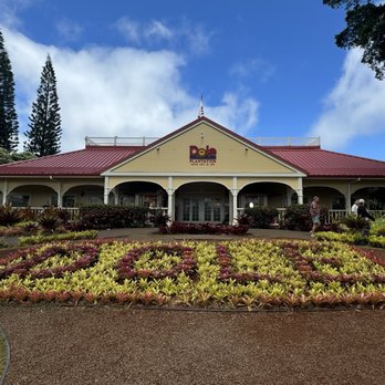 Hawaii Turtle Tours - Dole Plantation - Tours Near Me - Honolulu, Hawaii