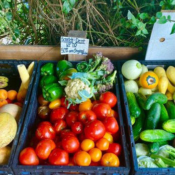 Geraldson's Family Farm - a variety of vegetables - Farmers Market Near Me - Bradenton, Florida Geraldson's Family Farm - a variety of vegetables - Farmers Market Near Me - Bradenton, Florida
