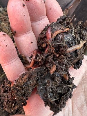 Moonwater Farm by null