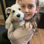 North Pine Pet Grooming