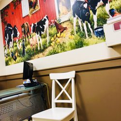 Peds First Pediatrics - BEAUTIFUL DECOR OFFICE