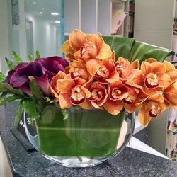 Dermatology Center Of Stamford