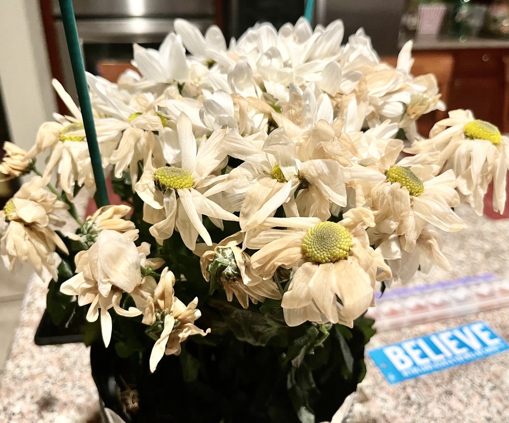 1800 FLOWERS ALHAMBRA Updated October 2024 137 Photos & 128