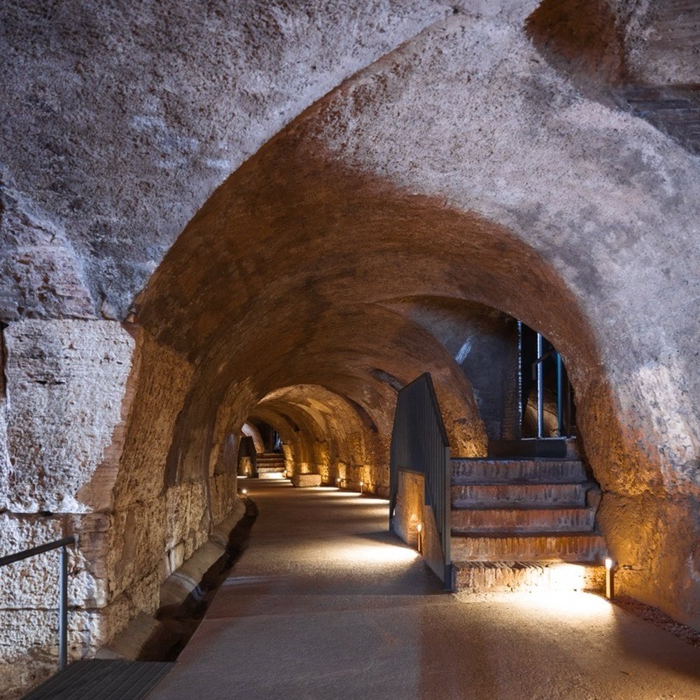 Colosseo - Local Flavor Near Me - Rome, RM