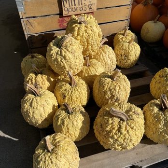 Windy Acres Farm - Pumpkin Patches Near Me - Geneva, Illinois