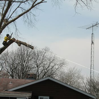 Novotny Landscaping - Our certified tree climbers are skilled in difficult tree removal that over hang homes. We are Insured and Bonded. - Tree Services Near Me - West Allis, Wisconsin Novotny Landscaping - Our certified tree climbers are skilled in difficult tree removal that over hang homes. We are Insured and Bonded. - Tree Services Near Me - West Allis, Wisconsin