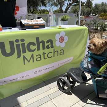 Ujicha Matcha - Coffee & Tea Near Me - Santa Clara, California