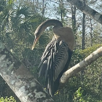 Wild Lime Adventures - Tours Near Me