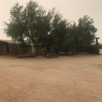 Desert Trees - Nurseries & Gardening Near Me - Tucson, Arizona
