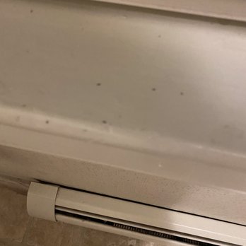 The Centennial Hotel - Windowsill - Hotels Near Me - Concord, New Hampshire