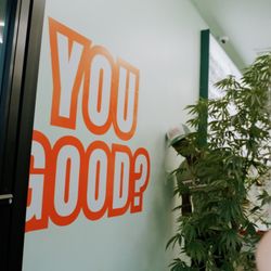 All Good Dispensary