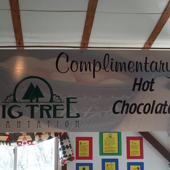 Big Tree Plantation - Free hot chocolate - yes, please! - Christmas Trees Near Me - Morrow, Ohio Big Tree Plantation - Free hot chocolate - yes, please! - Christmas Trees Near Me - Morrow, Ohio